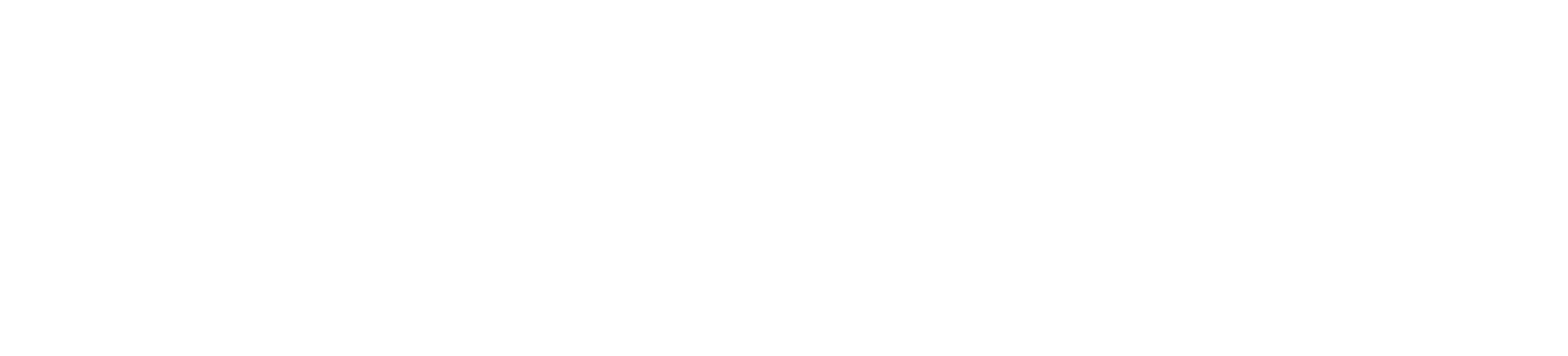 SkeyDrone logo